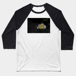 White rose blossom with bright yellow center on dark green black background Baseball T-Shirt